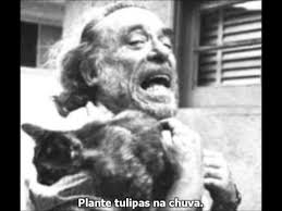 ‘Conselho de amigo para muitos jovens’ – Charles&nbsp;Bukowski