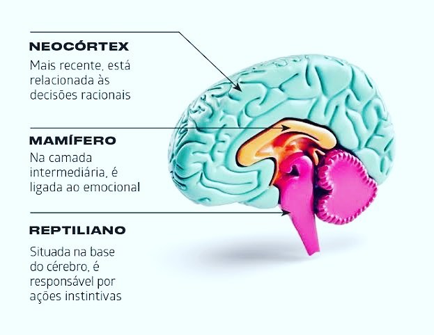 Consultores explicam como vencer a estratégia do cérebro&nbsp;reptiliano