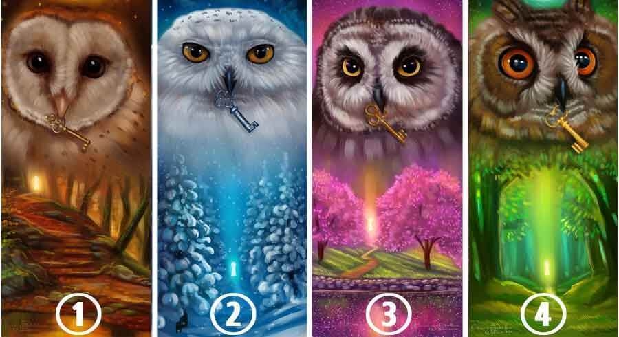Escolha Uma Coruja: Ela Carrega Uma Chave Que Revela Um Grande Segredo Sobre&nbsp;Você