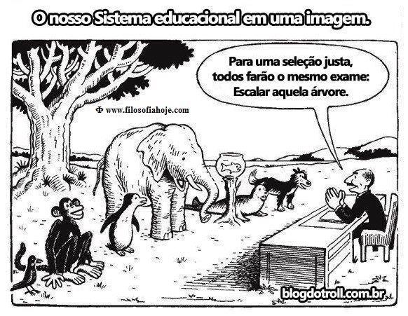 Sistema educacional …