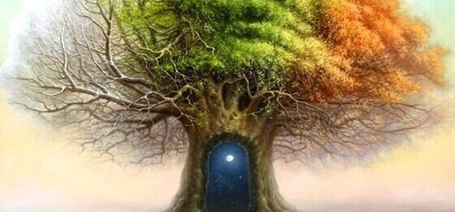 Aprende mais sobre sua personalidade com o teste da árvore de Karl&nbsp;Koch