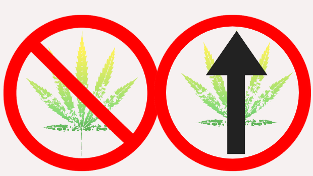 5 motivos para descriminalizar o porte de drogas para uso&nbsp;pessoal