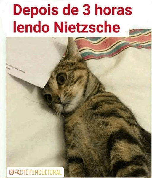 Depois de 3 horas lendo Nietzsche&nbsp;…