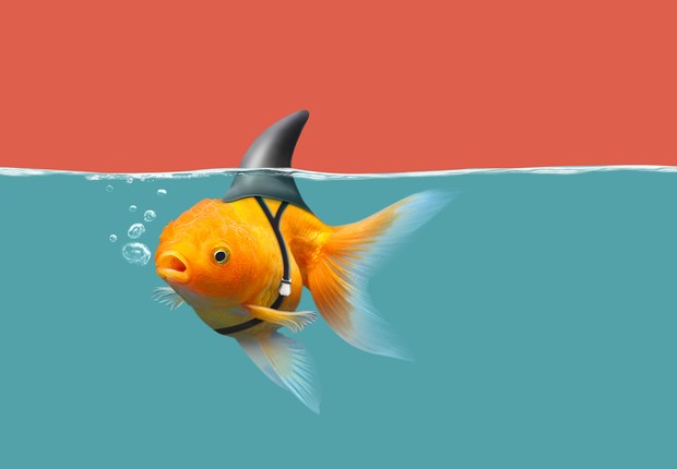 Não compare o seu bastidor com o palco do&nbsp;outro!