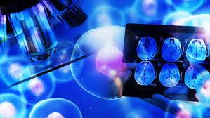 Cura do câncer: as terapias que renovam a&nbsp;esperança