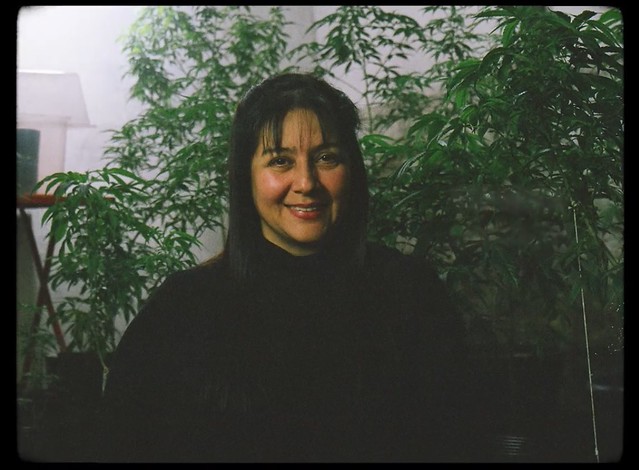 Dez documentários para refletir sobre o uso da cannabis e a política de&nbsp;drogas