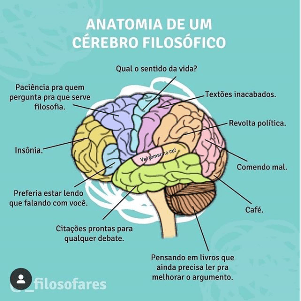 Anatomia de um cérebro&nbsp;filosófico