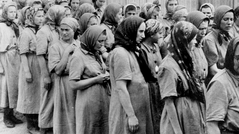 Gestantes de Auschwitz: a cruel saga das mães e dos bebês nos campos da&nbsp;morte