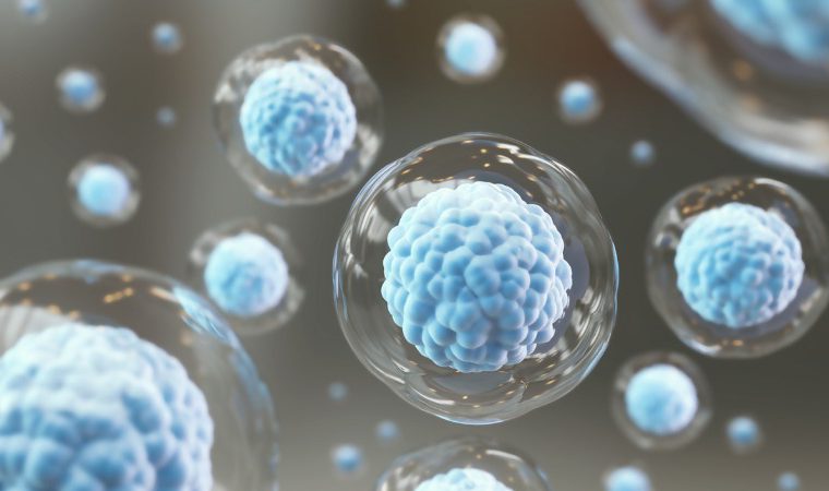 Sistema imunológico: veja como reforçá-lo e evitar&nbsp;doenças