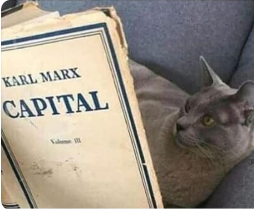 Gato Marxista …