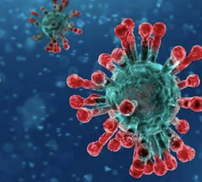 COVID-19 e a última&nbsp;vontade