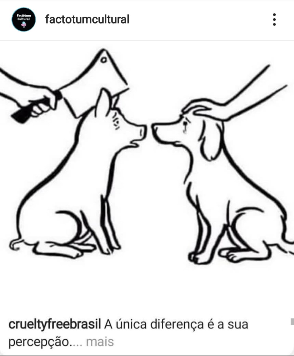 A única diferença é a sua percepção&nbsp;…