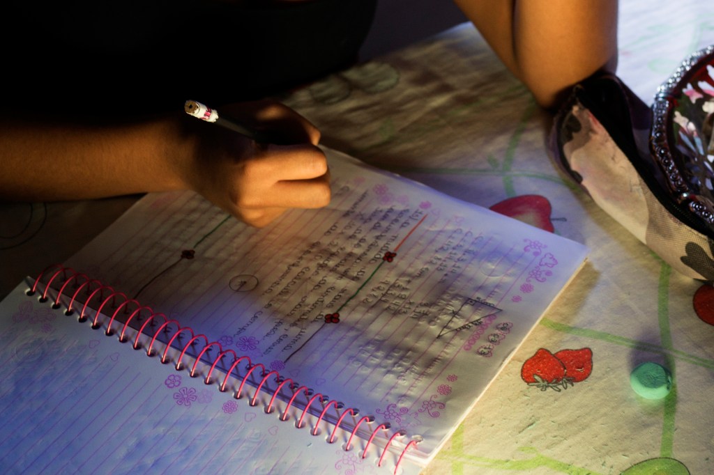 Na rede pública, o ensino à distância escancara a desigualdade&nbsp;social