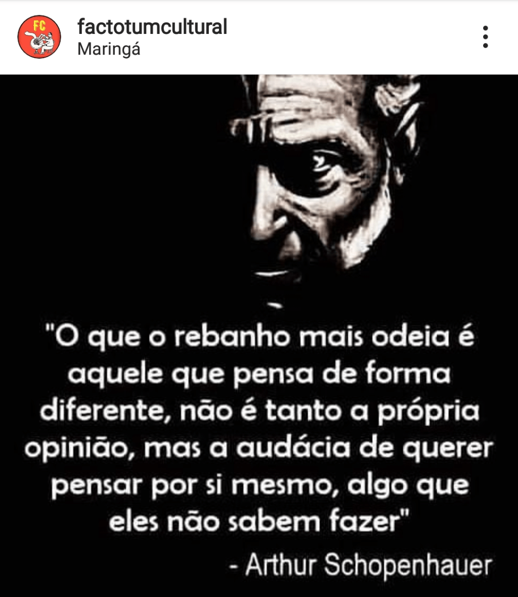 Vida de rebanho&nbsp;…