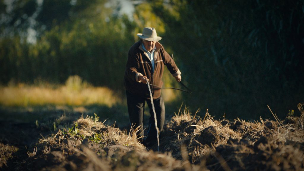 Documentários: Minimalismo vazio ou superação do&nbsp;consumismo?