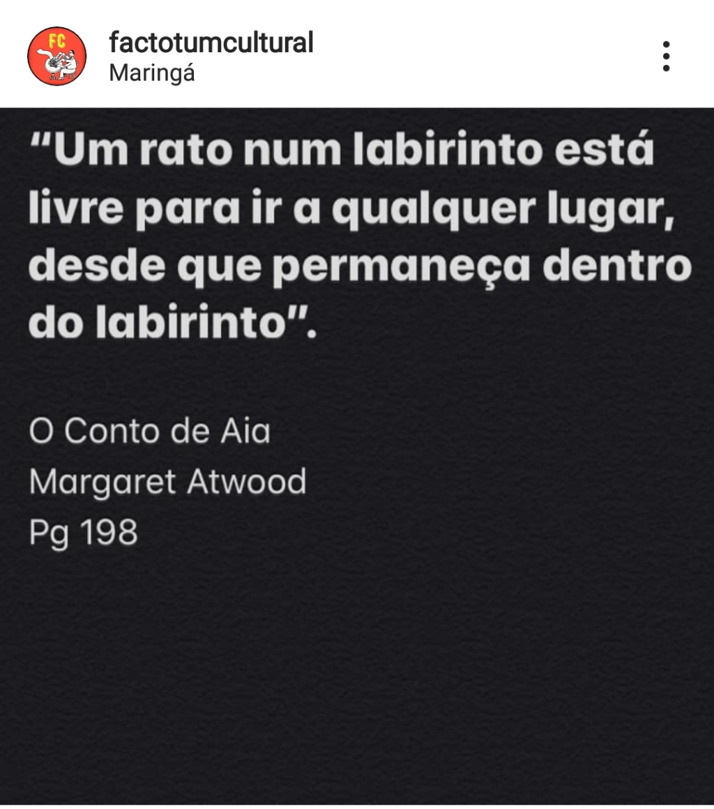 Um rato num labirinto&nbsp;…