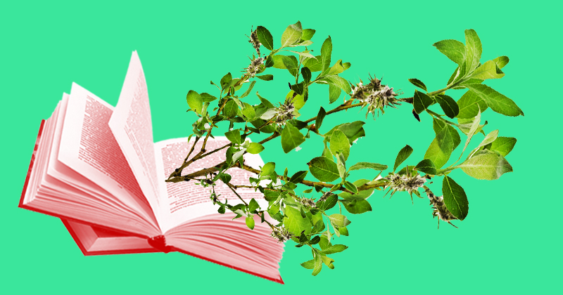 A voz do espelho nos meus olhos: poesia é uma&nbsp;miragem?