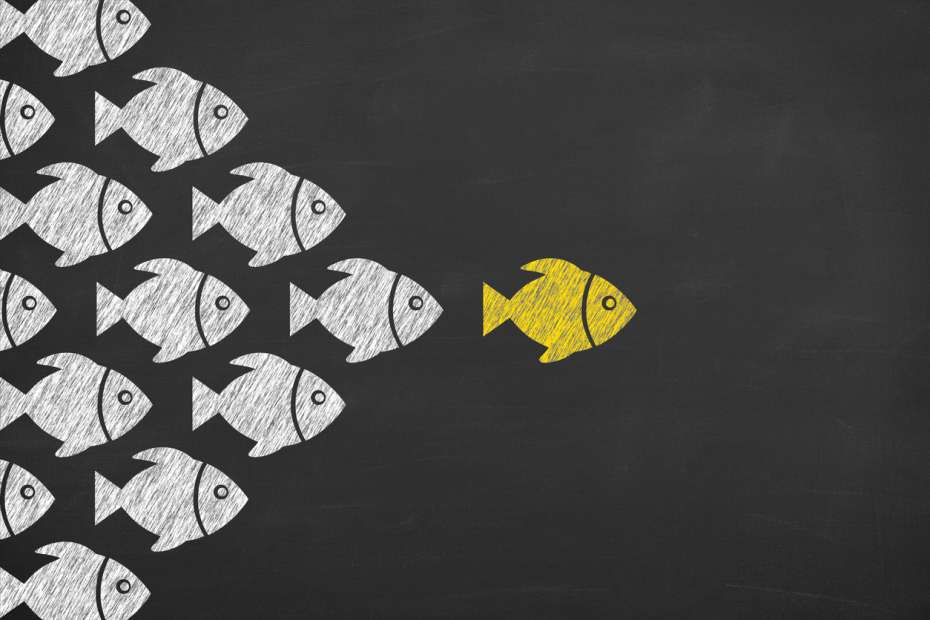 Conheça as 5 leis da persuasão para convencer qualquer&nbsp;pessoa