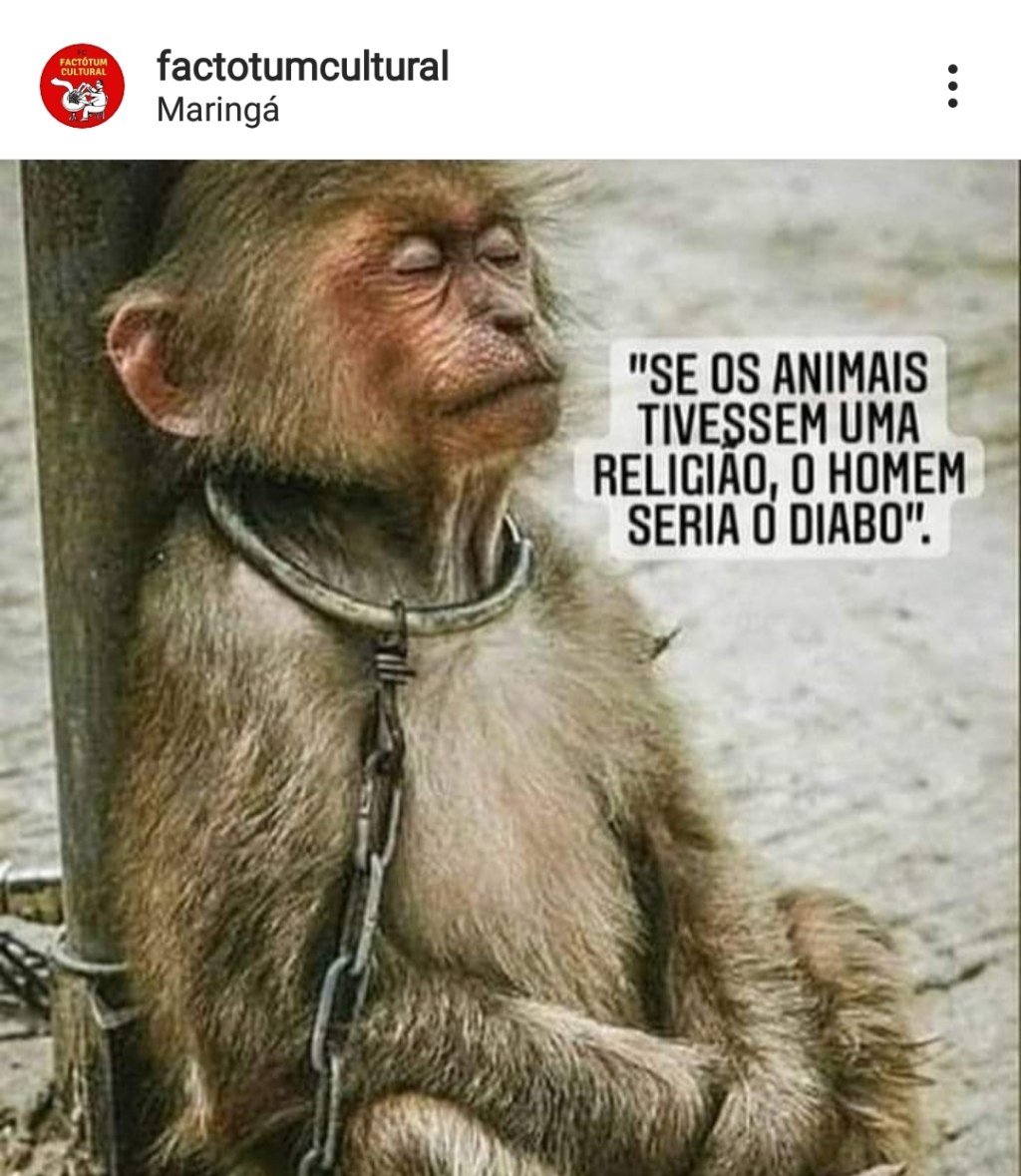 Se os animais tivessem religião&nbsp;..