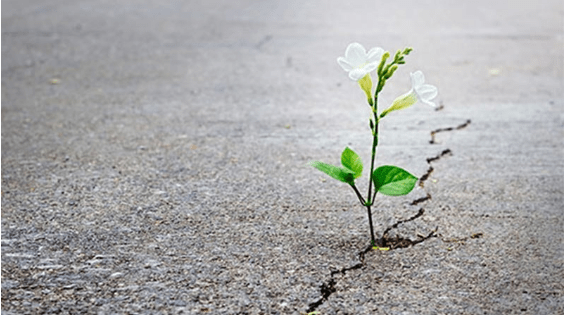 São tempos sombrios para os sonhadores, mas tenho em mim todos os sonhos do&nbsp;mundo