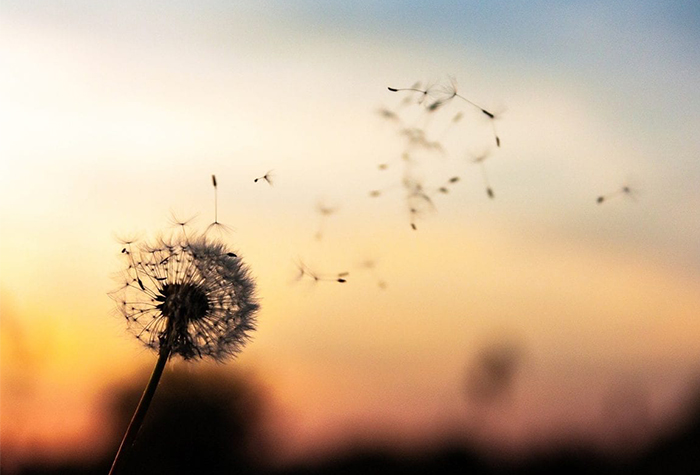 Todos os cantos do&nbsp;vento