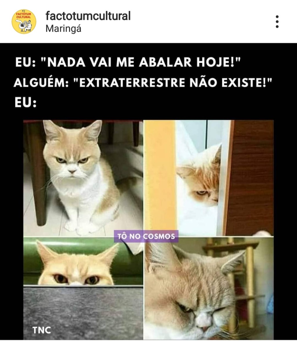 Nada vai me abalar hoje&nbsp;…
