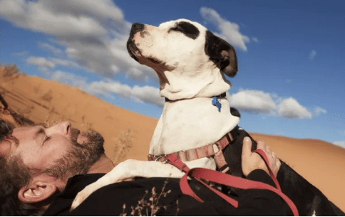 A arte de ser feliz&nbsp;sozinho