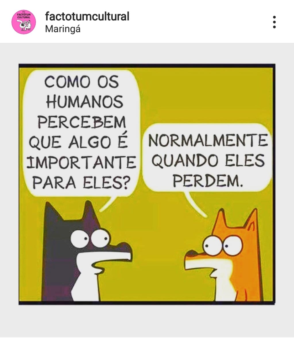 Algo é importante?