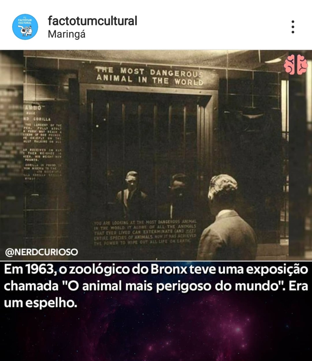 O animal mais perigoso do&nbsp;mundo…