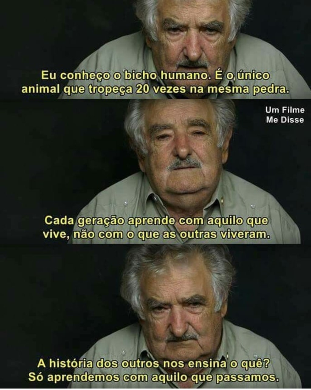 Bicho humano…