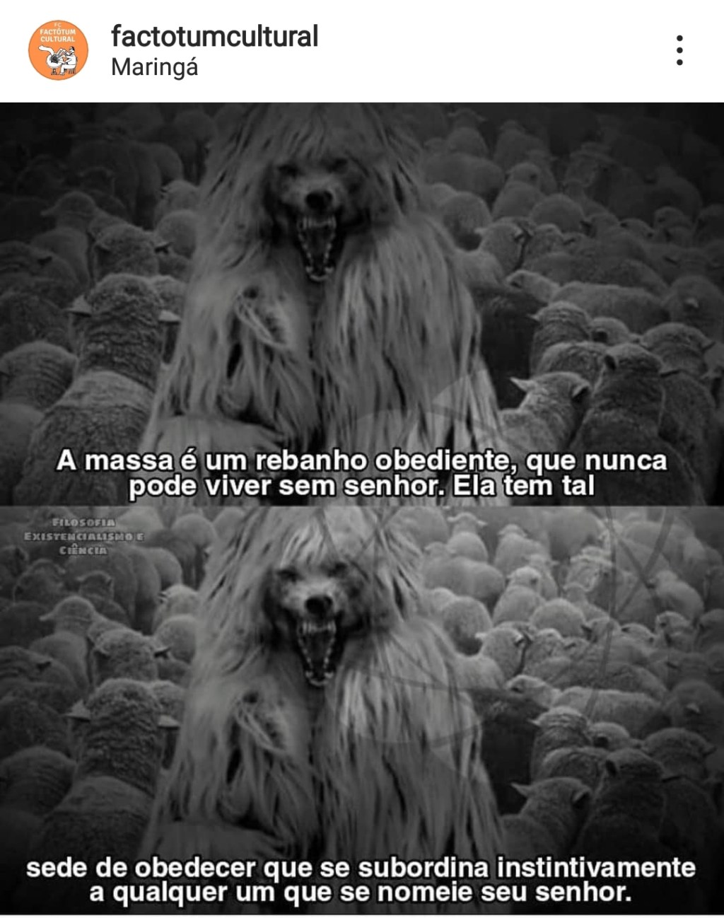 O animal de rebanho