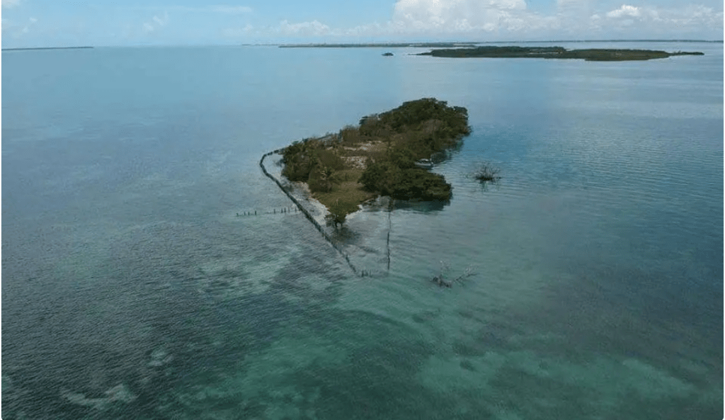 Grupo compra ilha com vaquinha online e cria país com direito a ‘Alteza&nbsp;Real’