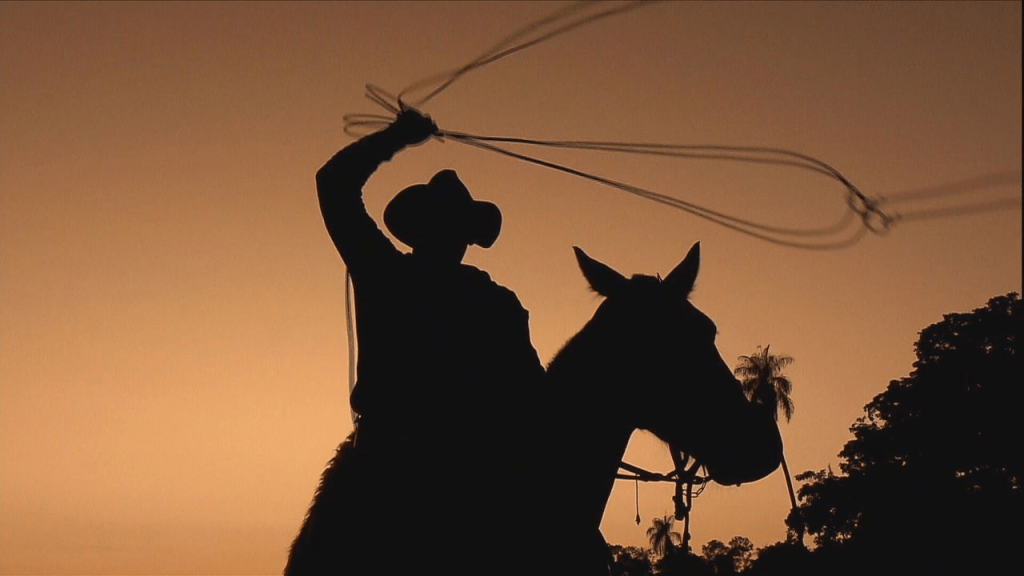 Facão na cintura e berrante na mão: conheça o dia a dia dos peões em uma&nbsp;comitiva