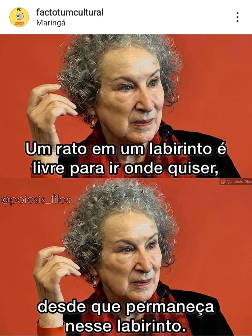 Um rato em um labirinto (o conto da&nbsp;aia)