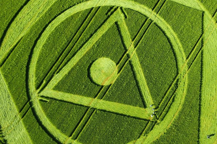 Agroglifos: o que diz a ciência sobre os desenhos que aparecem em&nbsp;plantações