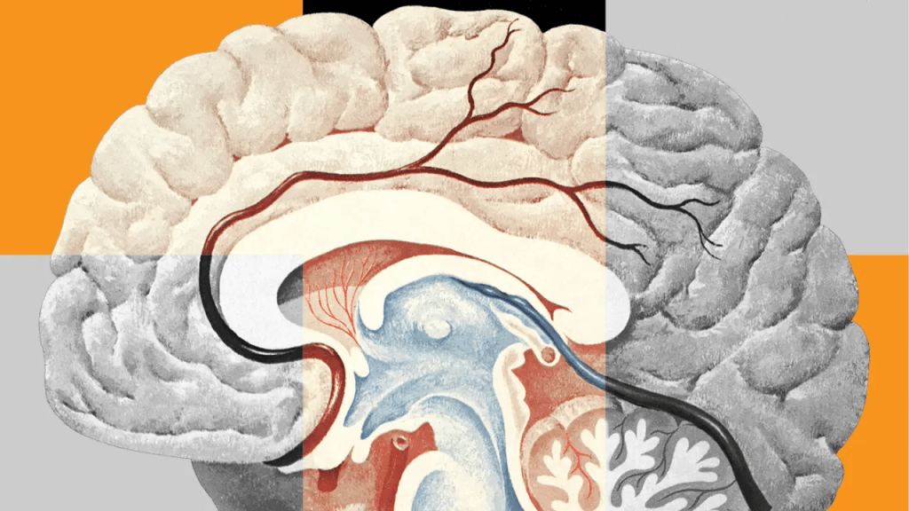 Como (não) combater a ansiedade, segundo a&nbsp;ciência