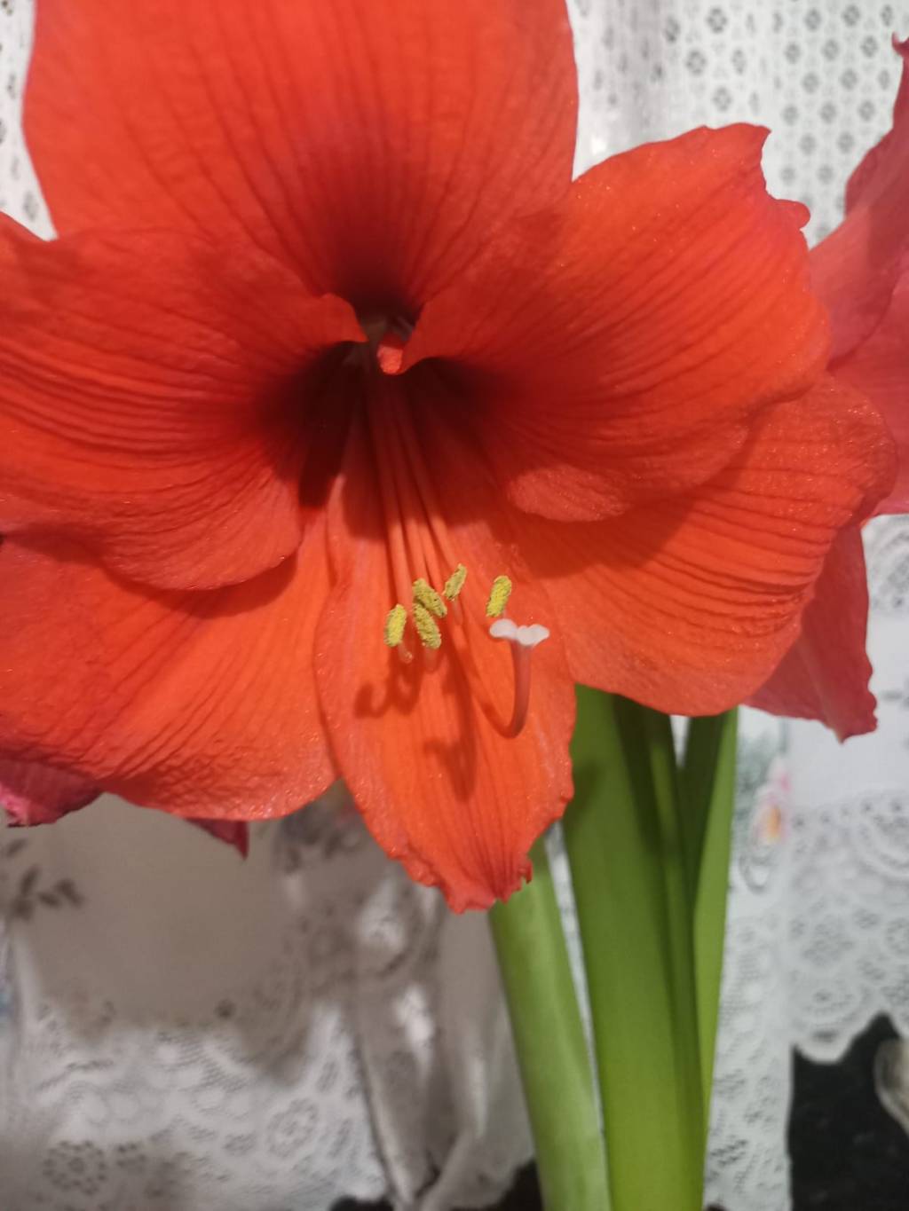 Zilda Santos – Até quando&nbsp;silenciadas?