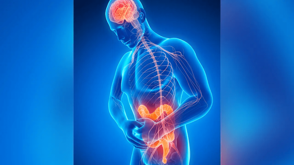 Aparelho digestivo influencia mais o cérebro do que se&nbsp;imaginava
