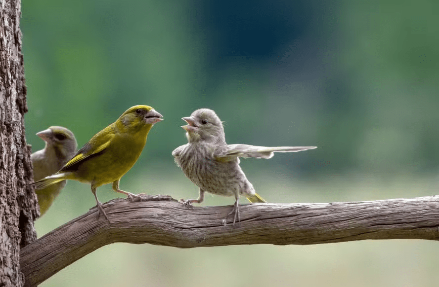 Veja oito frases que você nunca deve dizer ao seu parceiro em uma discussão, segundo&nbsp;psicólogos